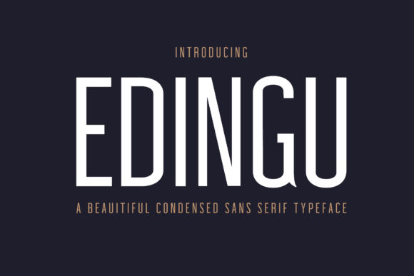 Edingu Family: A Clean, Friendly Sans Serif Font for Real Business Branding