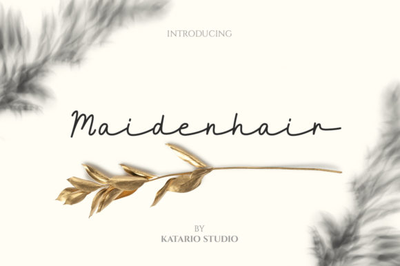 Maidenhair: A Contemporary Script Font for Thoughtful Branding