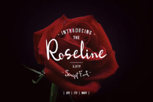 Roseline Script: A Handwritten Font That Feels Like Home