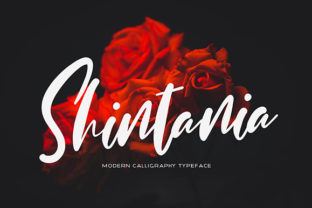 Shintania: A Romantic Script Font for Scroll-Stopping Marketing