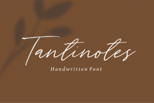 Tantinotes: A Thoughtful Script for Real Work