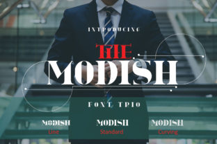The Modish: A Smart Sans Serif Font for Polished Branding